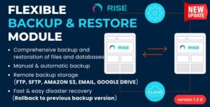 Flexible Backup Restore Module For RISE CRM