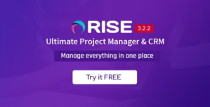 RISE – Ultimate Project Manager CRM