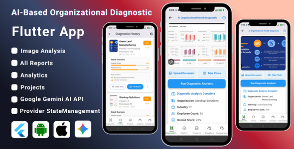AI-Based Organizational Diagnostic Flutter App | Business Health Performance Analysis