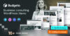 Budgeto – Business Consulting WordPress Theme