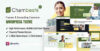 Chambeshi – Finance Consulting Elementor WordPress Theme