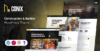 Conix – Construction WordPress Theme
