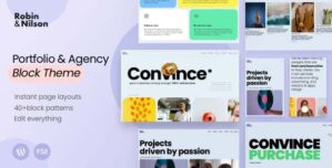 Robin and Nilson – Digital Agency WordPress Theme