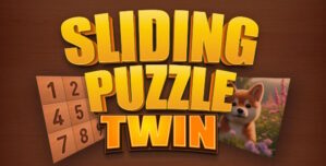Sliding Puzzle Twin – HTML5 Game